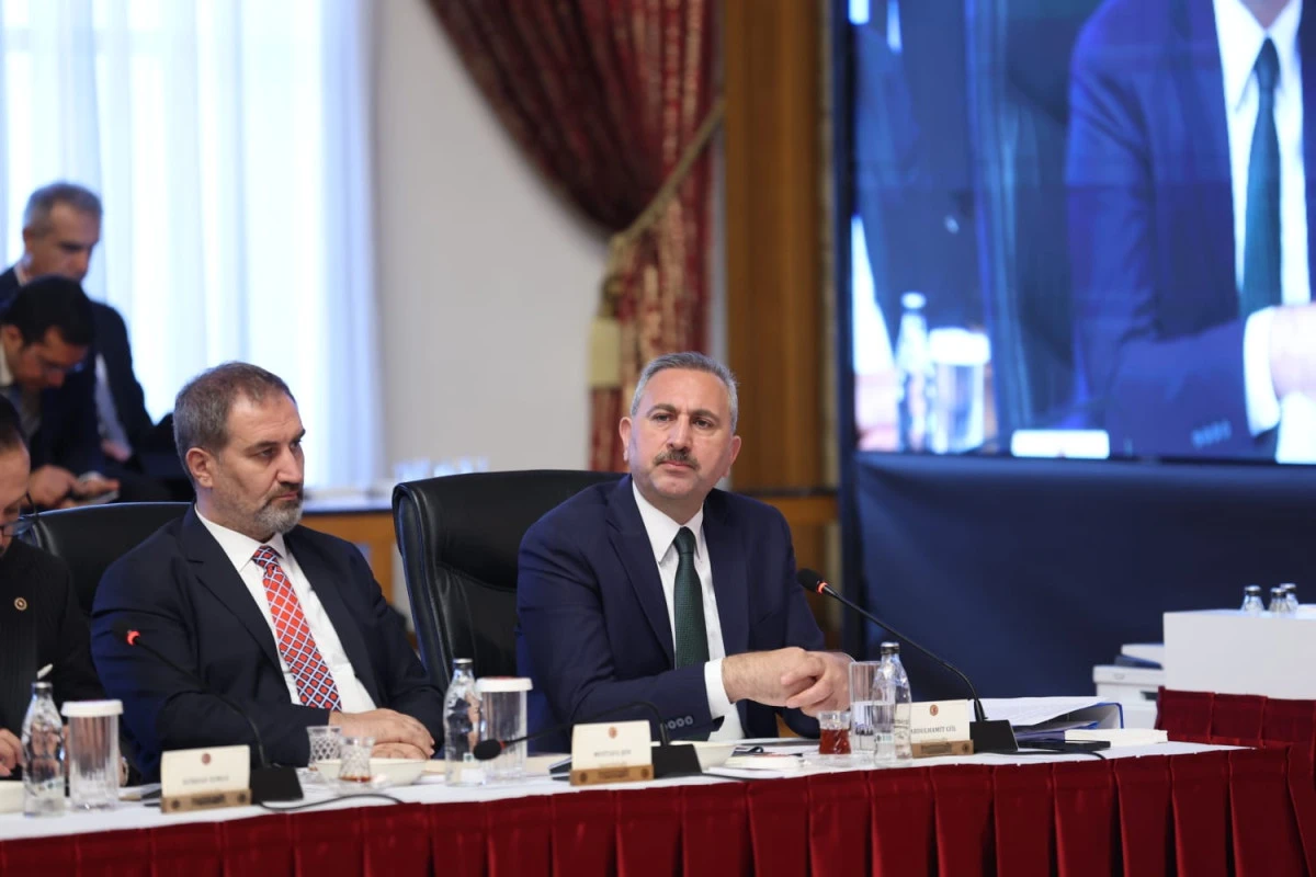 AK Parti Grup Başkanvekili Abdulhamit Gül, Milli Dayanışma, Kardeşlik ve Demokrasi Komisyonu III. Toplantısında Konuştu