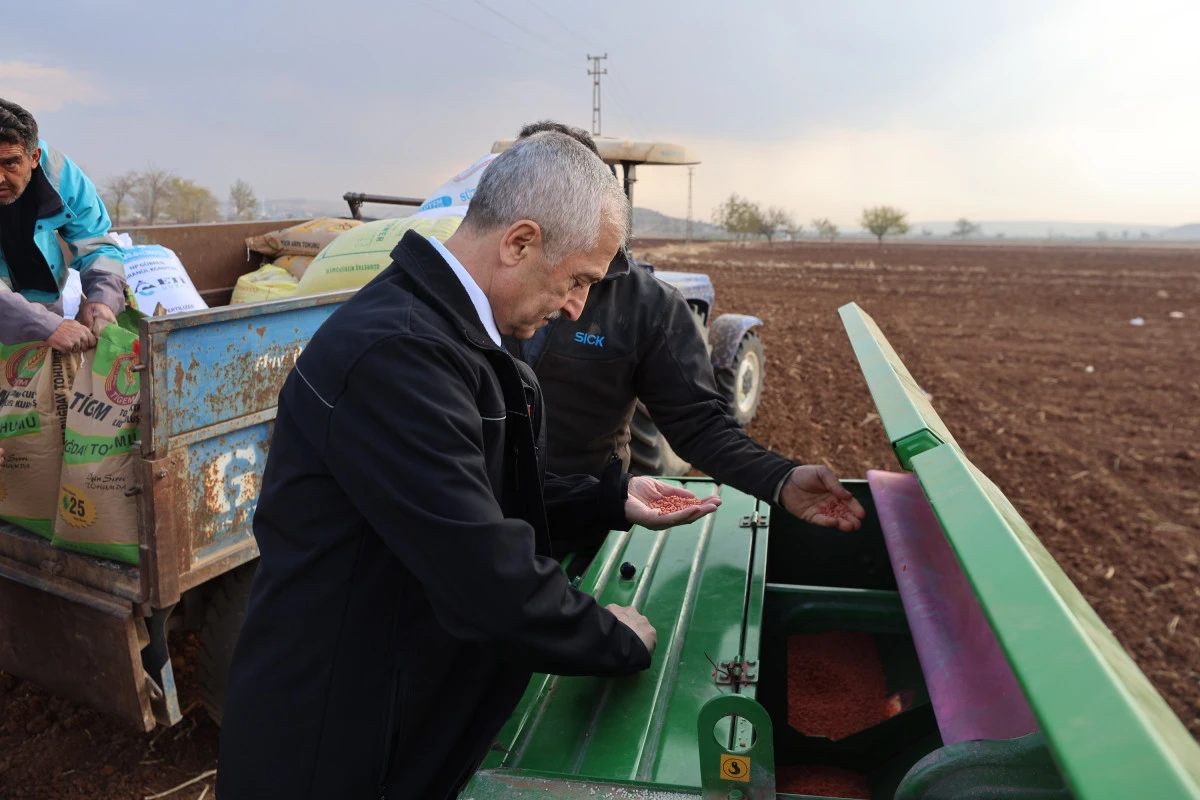 BAŞKAN TAHMAZOĞLU DAĞITTIĞI TOHUMLARI ÇİFTÇİLERLE EKTİ