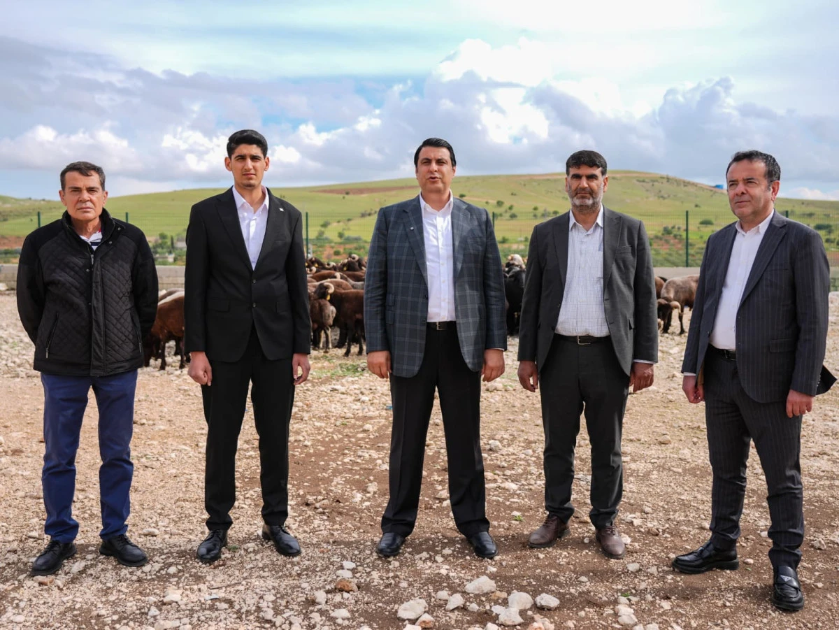 BAŞKAN YILMAZ, KURBANLIK FİYATLARINI A&Ccedil;IKLADI