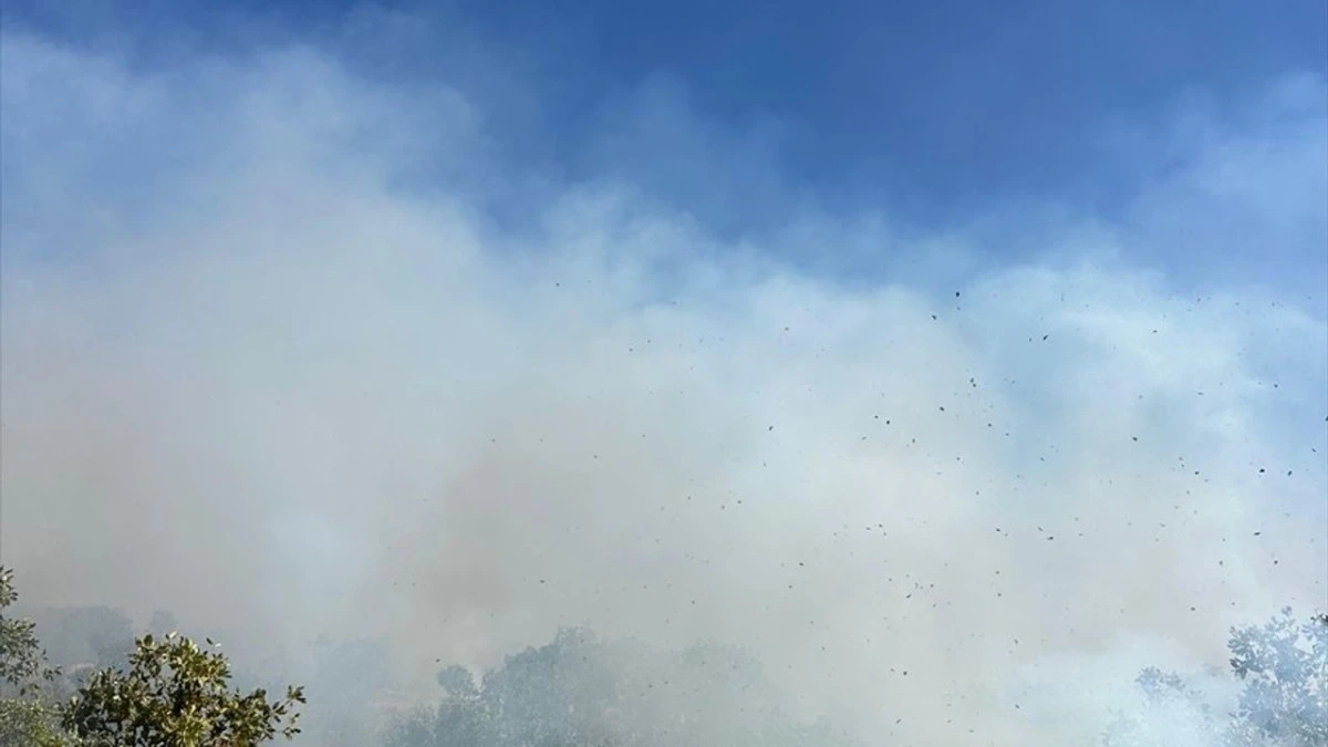 Diyarbakır’da örtü yangını 7 saat sonra helikopter desteğiyle söndürüldü