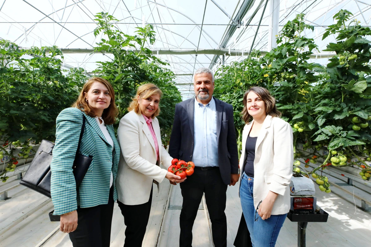 GA&Uuml;N&rsquo;DE ATIK Y&Ouml;NETİMİ SİSTEMİ VE SIFIR ATIK &Ccedil;ALIŞMALARI HAKKINDA TEKNİK İNCELEME VE EĞİTİM PROGRAMI D&Uuml;ZENLENDİ